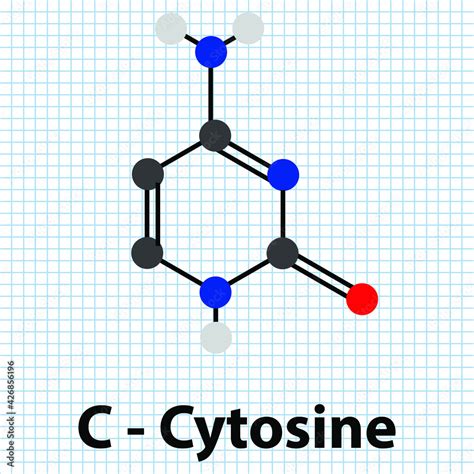 C- Cytosine Nitrogenous base molecular structure. DNA nucleotide base ...