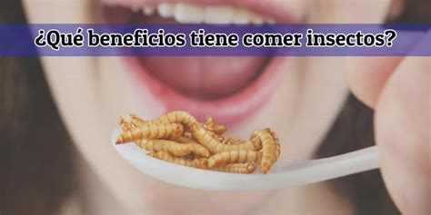 Qu Beneficios Tiene Comer Insectos Loca Records