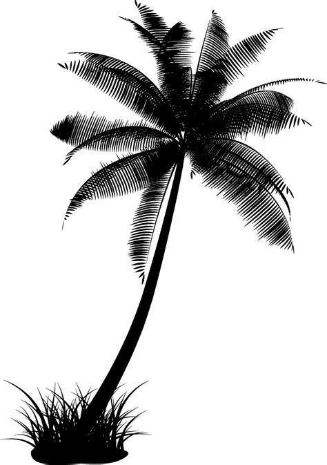 Coconut Tree Outline