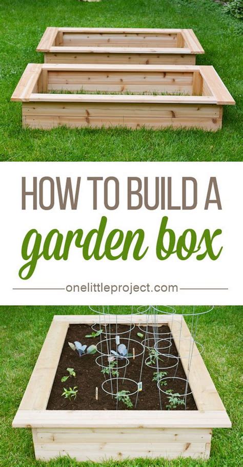 Raised Garden Beds