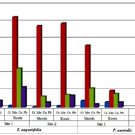 Bioaccumulation Factor Baf And Enrichment Factor Ef Values For The