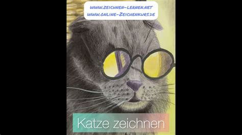 Schweine Zeichnen Anleitung F R Kinder Und Einsteiger