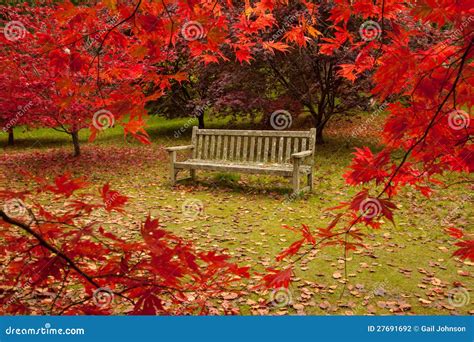 Bodnant garden in Autumn stock photo. Image of bodnant - 27691692