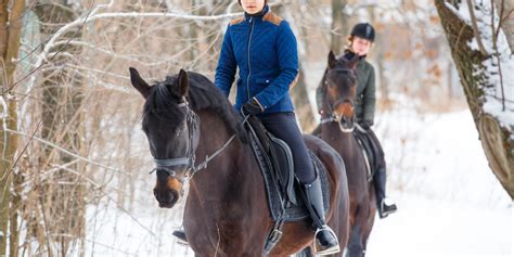 7 Winter Horse Riding Exercises to Keep Motivated - Talking To Horses