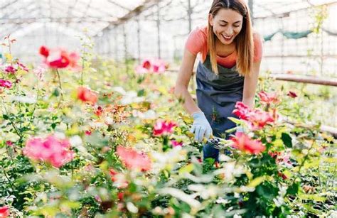 Potare Le Piante Una Questione Delicata Il Sistema Per Non Sbagliare