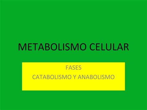 Metabolismo Celular Ppt Descarga Gratuita