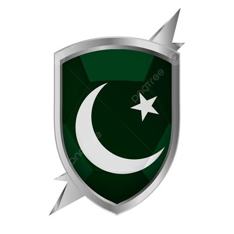 Pakistan Flag In Silver Shield New Pakistan Flag Pakistan Day Png