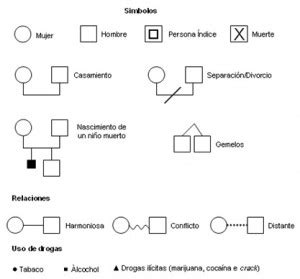 Ejemplos De Genogramas