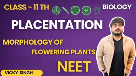 Placentation With Simple And Easy Tricks Morphology Of Flowering Plants