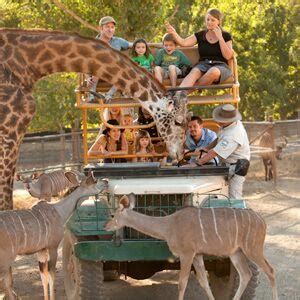 Safari West Wildlife Preserve, Santa Rosa, CA - California Beaches