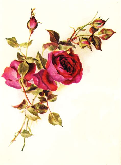 Vintage roses red by jinifur on DeviantArt