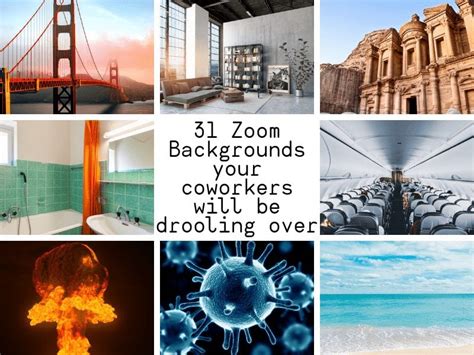 meme zoom virtual background funny