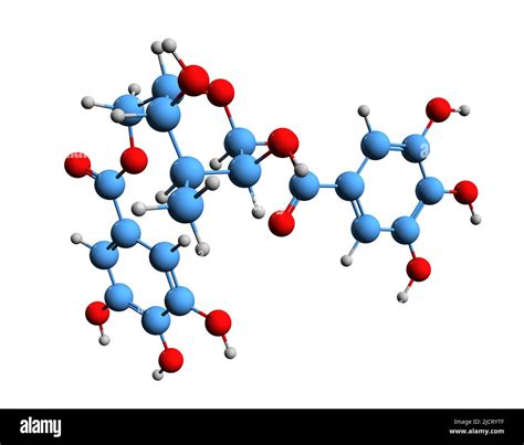 3D Imágen de la fórmula esquelética de glucosa 1 6 Digalloyl