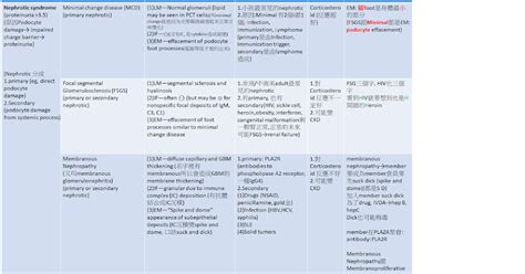 Fa First Aid Usmle Nephrotic Syndrome Vs Nephritic Syndrome