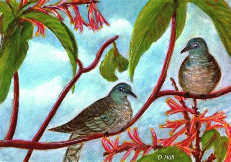 Zebra Doves Or Barred Dove Birds 309 Painting By Donald K Hall Pixels