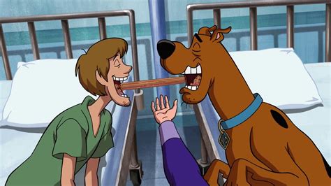 Scooby Doo And Shaggy Kiss YouTube