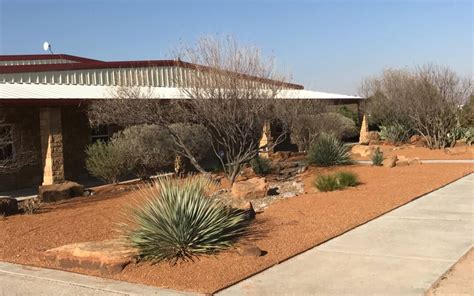 Embracing Xeriscaping: Sustainable Landscaping in West Texas