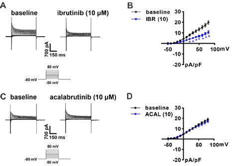 Figure S4 Effects Of Ibrutinib And Acalabrutinib On Repolarizing K