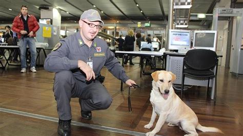 Denaro Non Dichiarato Trovati Mila Euro All Aeroporto La Nuova