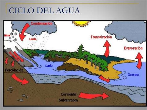 Ppt Ciclos Biogeoquimicos Ppt