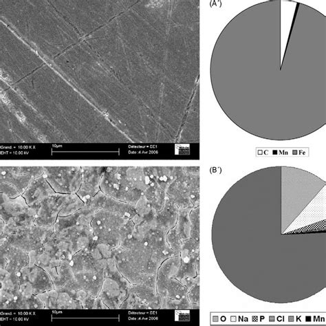 Sem Analysis And Edx Results For A And A Xc45 Electrode After