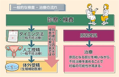 不妊治療 野崎クリニック 名古屋市中川区の産婦人科 無痛分娩 最新の不妊治療