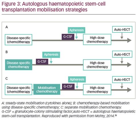 How To Find The Optimal Mobilisation Strategy TouchONCOLOGY