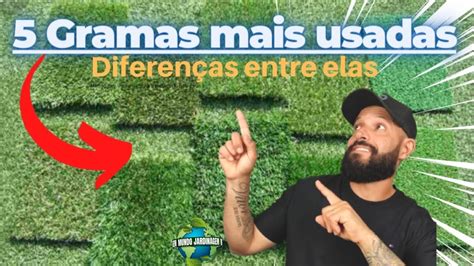 Diferen As Entre As Gramas Mais Usadas Youtube