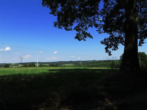 Jakobus Weite Feld Wald Baum Bernd Brang Flickr