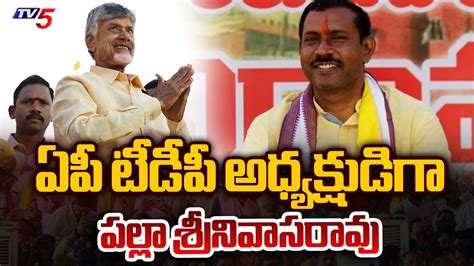 Chandrababu Appointed Gajuwaka Tdp Mla Palla Srinivasa Rao As Ap Tdp