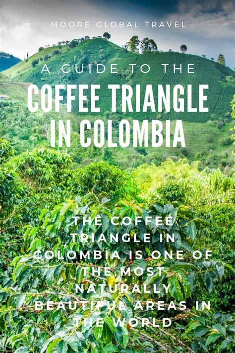 A Guide To The Coffee Triangle In Colombia Global Travel Colombia World