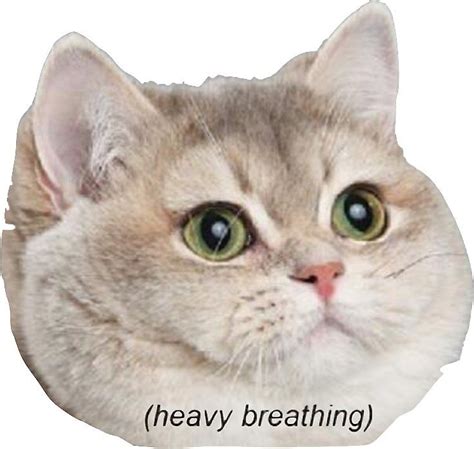 Heavy Breathing Cat | Heavy breathing cat, Cat memes, Cats