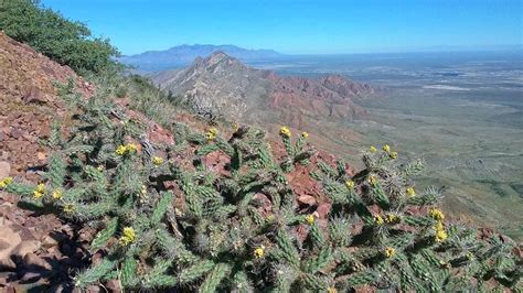 Hiking on the North Franklin Peak in El Paso – Day Trippin' Texas