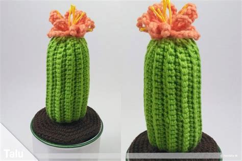 Kaktus häkeln Anleitung für einen Häkelkaktus Crochet flowers