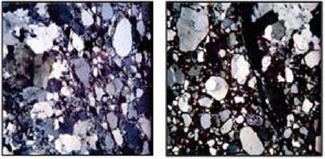 Image of Thin Section samples from microscope view | Download Scientific Diagram