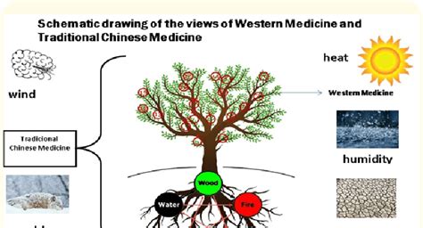 Schematic Drawing Of The Views Of Western And Traditional Chinese