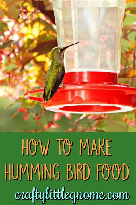 How To Make Hummingbird Nectar Diy Dont Buy Recipe Make