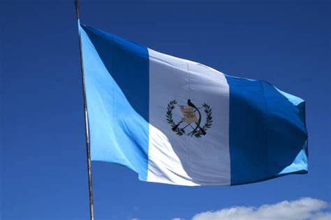 Guatemala Quetzal Stock Photos, Pictures & Royalty-Free Images - iStock