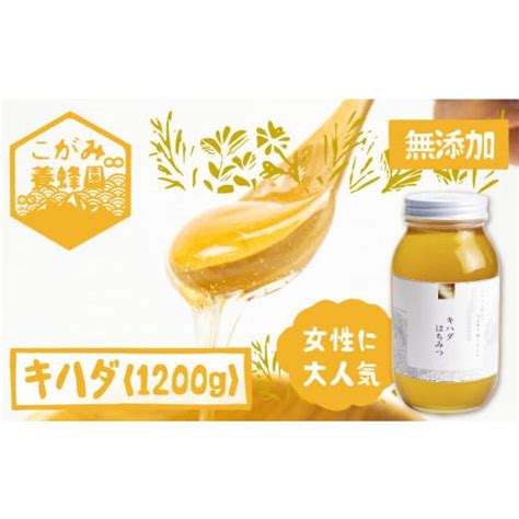 ふるさと納税 加工品等 はちみつ 岐阜県 飛騨市 キハダ 蜂蜜 1200g はちみつ ハチミツ 国産 非加熱 5209406 ふるさと