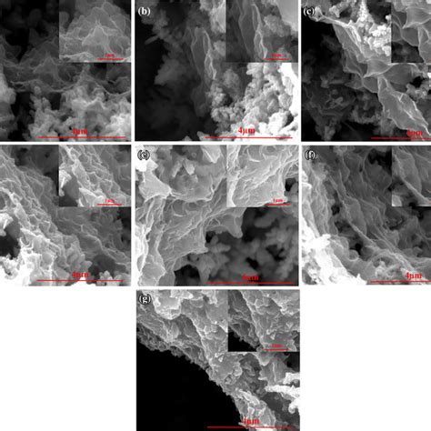 The Sem Images Of The Ninio Foam Ergo Samples Fabricated Via A