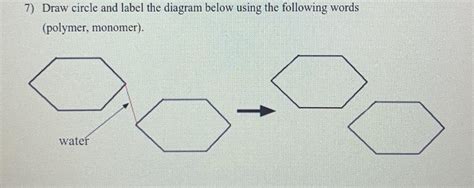 Draw Circle And Label The Diagram Below Using The Following Words