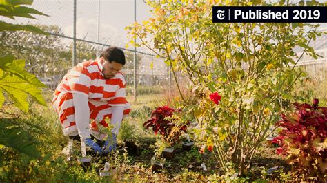 The Secret Jailhouse Garden of Rikers Island - The New York Times
