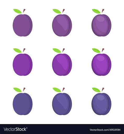 Plum Royalty Free Vector Image Vectorstock