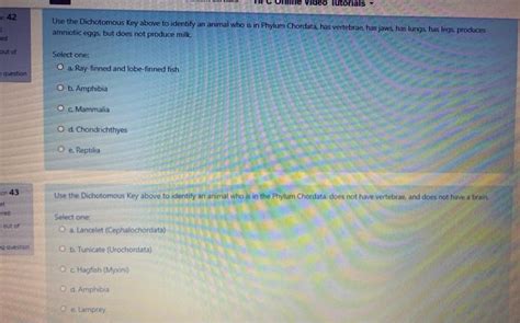 Solved Tutorials Use the Dichotomous Key above to identify | Chegg.com 