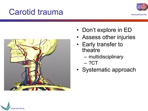 Vascular Trauma Ppt