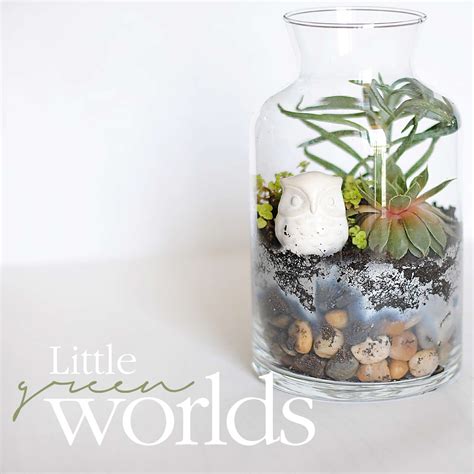 Learn How To Make Basic Terrariums First