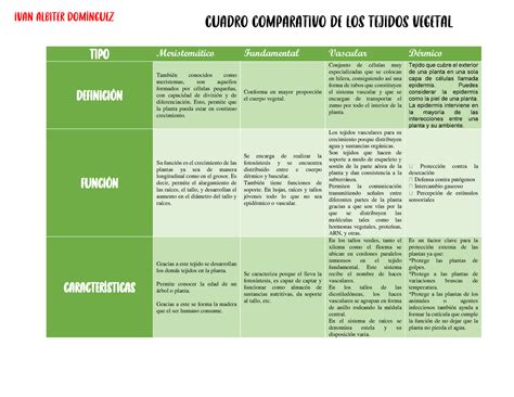 Cuadro Comparativo De Los Tejidos Vegetal Tipo Meristem Tico