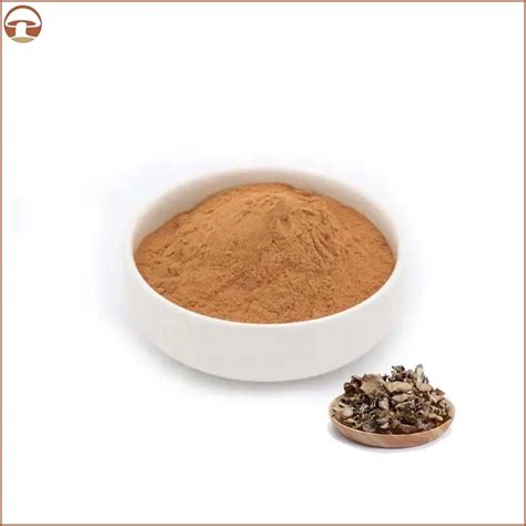 Organic Maitake Mushroom Powder Grifola Frondosa Mushroom Extract