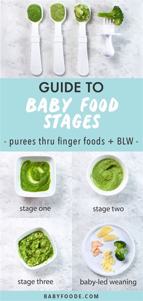 Guide to Baby Food Stages (Purees and BLW) - Baby Foode | Baby food ...