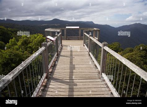 Skywalk dorrigo national park hi-res stock photography and images - Alamy